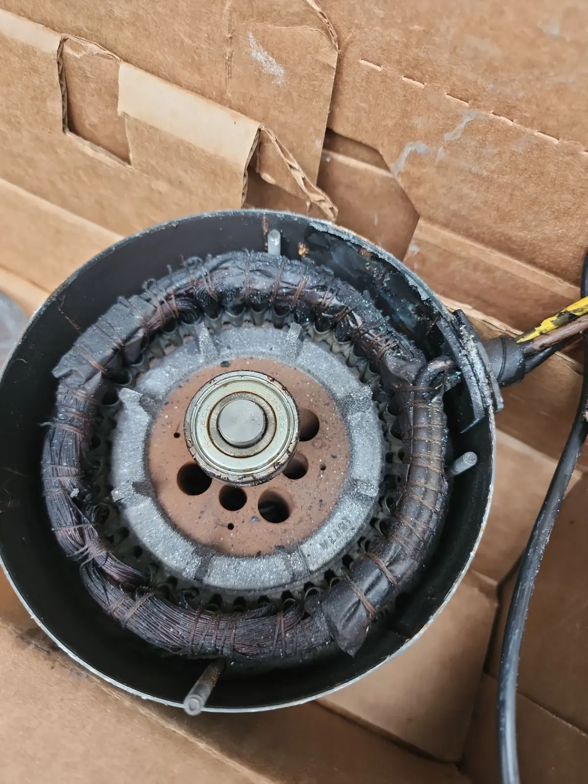 Opened electric motor with blackened, burnt stator windings