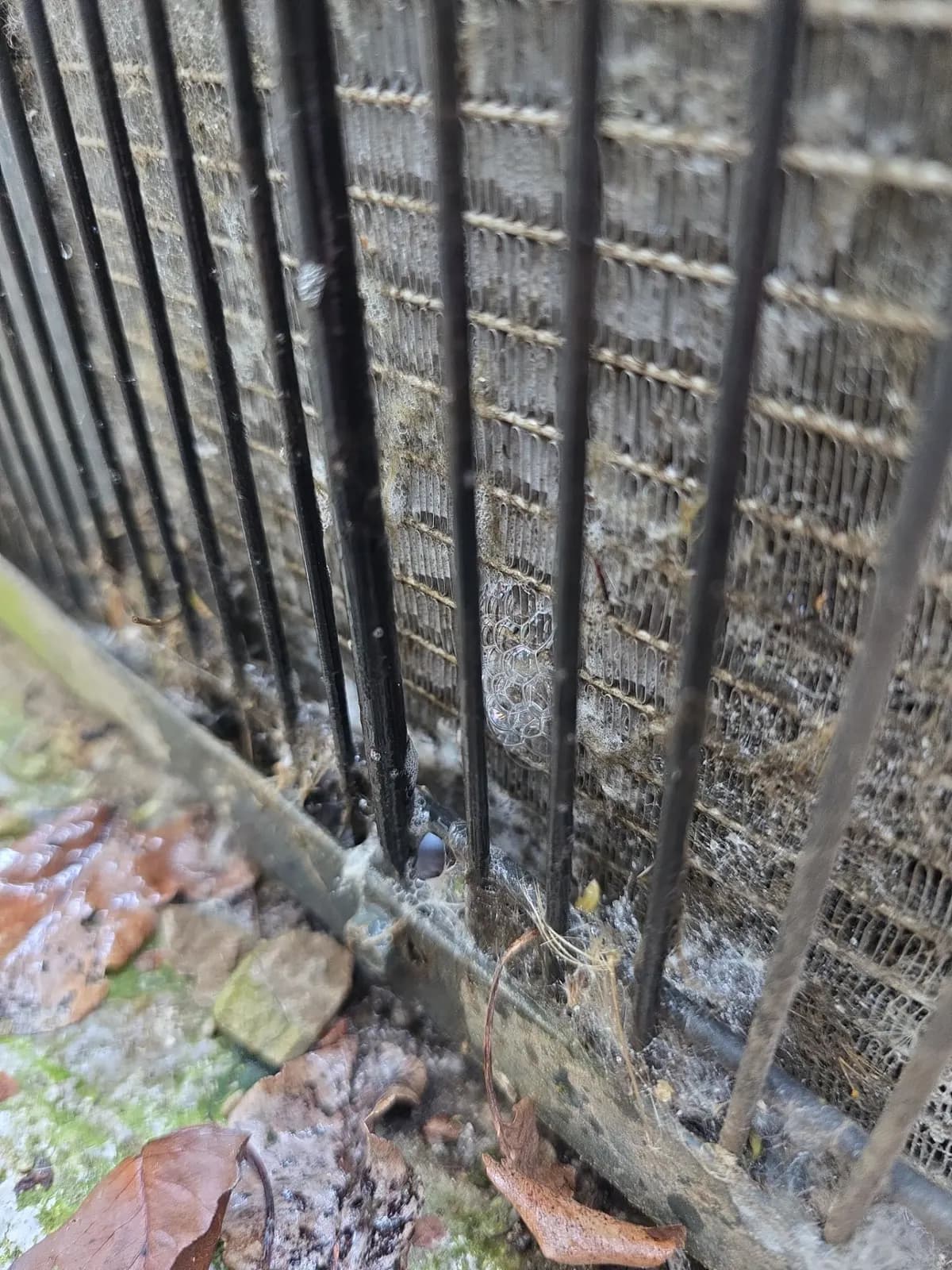 Dirty condenser coil behind guard wires with coil cleaner foaming on the fins