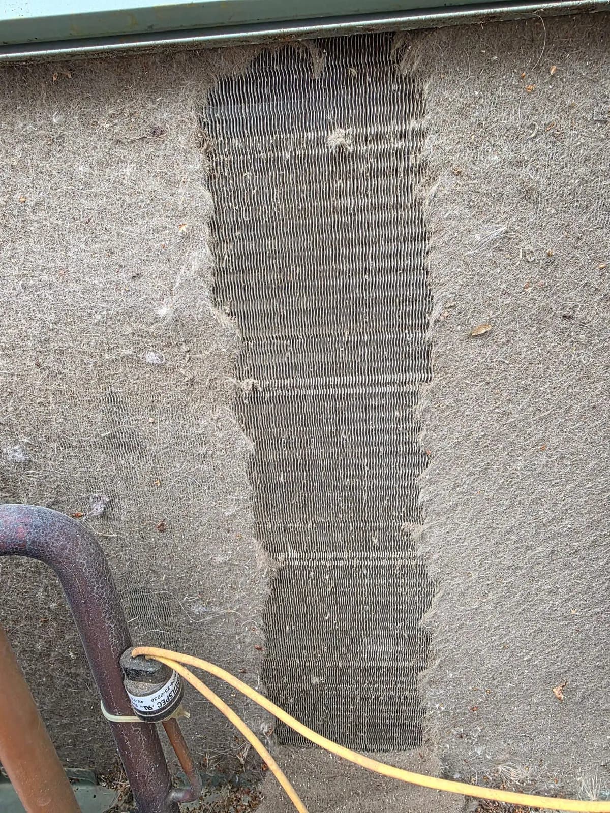 Condenser coil matted with lint with one vertical strip cleaned down to bare fins