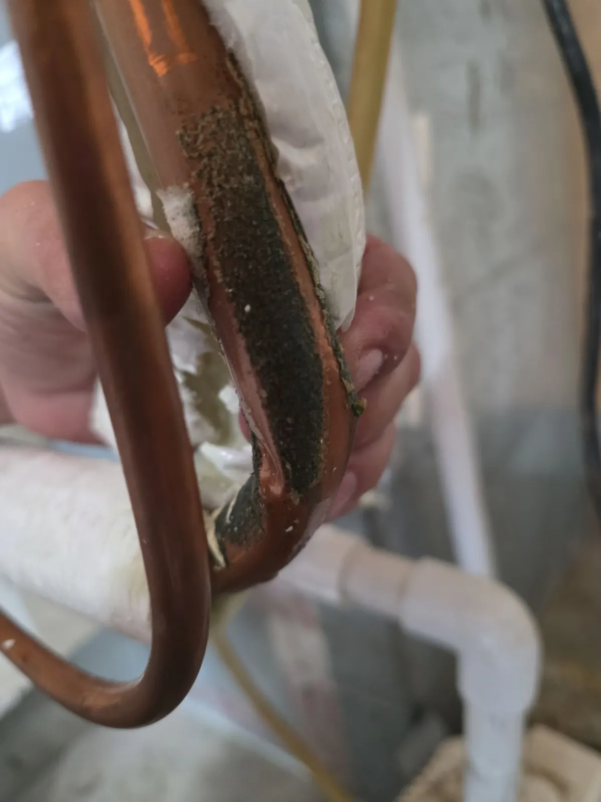 Hand peeling back worn insulation to show black corrosion on a copper refrigerant line