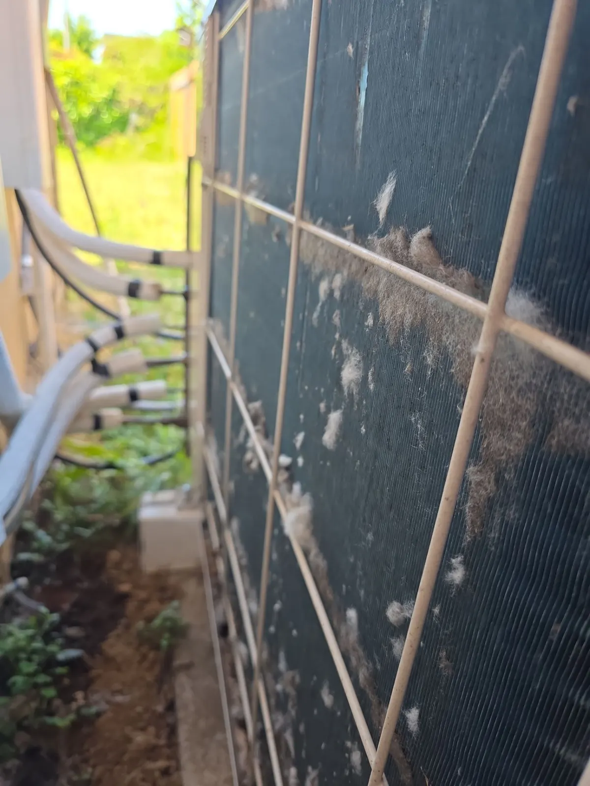 Multi-zone ductless outdoor unit coil with clumps of lint and insulated line sets