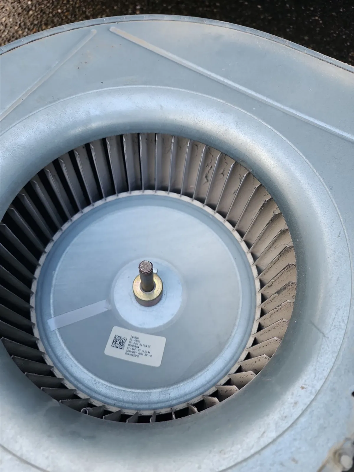 Freshly cleaned furnace blower wheel