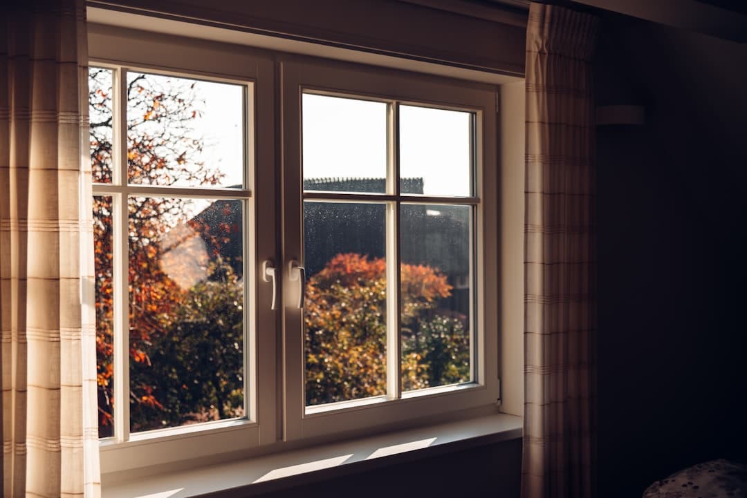 A white wooden framed window in a home looking out on autumn trees