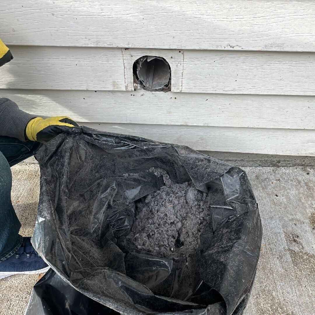 Dryer vent cleaning in progress showing a technician holding a bag full of lint removed from a clogged exterior dryer vent opening.